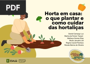 Horta em Casa – O que plantar e como cuidar das Hortaliças