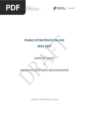 Análise SWOT e identificação das necessidades