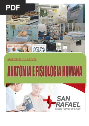 Anatomia e filosogia humana