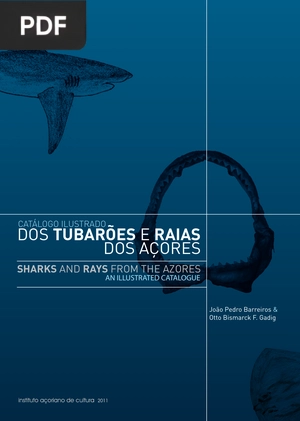 Dos tubarões e raias dos açores