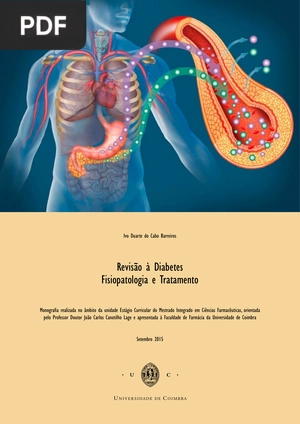 Revisão à Diabetes. Fisiopatologia e Tratamento
