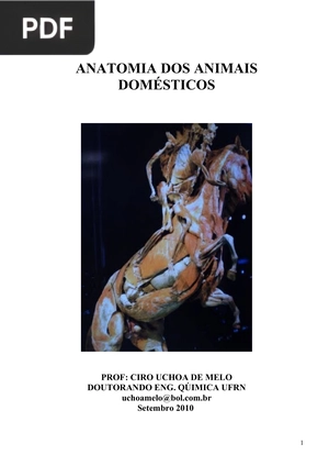 Anatomia dos Animais Domésticos