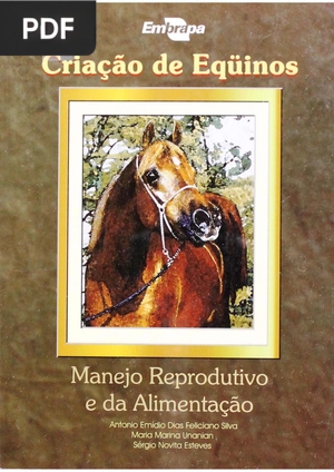 Criação de Equinos