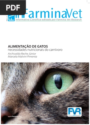 Alimentação de gatos