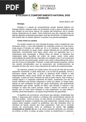 Etologia e comportamento natural dos cavalos