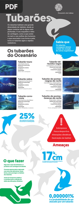 Tubarões (Artigo)