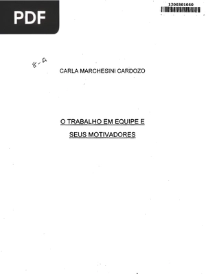 O trabalho em equipe e seus motivadores
