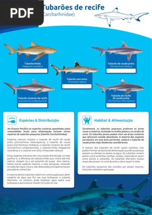Tubarões de recife (Artigo)