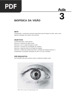 Biofísica da visão