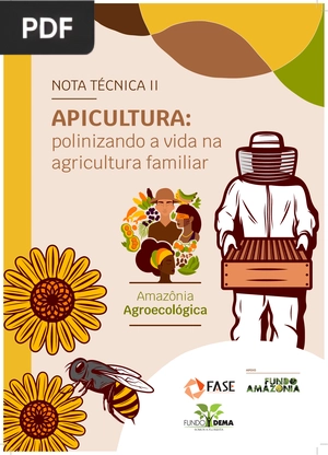 Apicultura: polinizando a vida na agricultura familiar