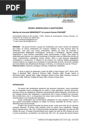 Peixes: morfologia e adaptações