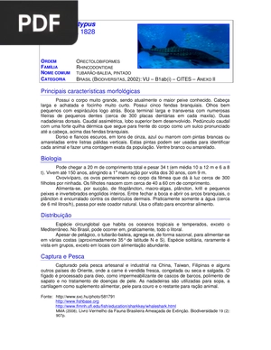Rhincodon typus (Artigo)
