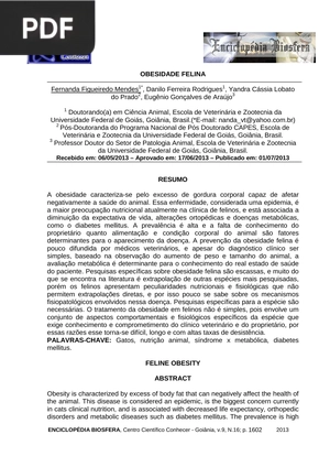 Obesidade Felina