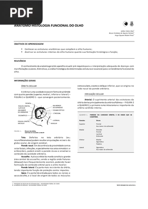 Anátomo-histologia funcional do olho (Artigo)