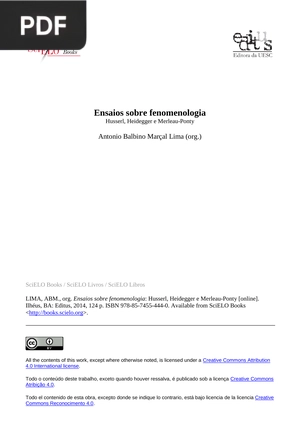 Ensaios sobre fenomenologia