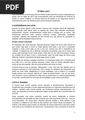 O Meu Luto (Artigo)