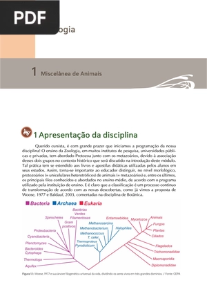 Zoologia (Artigo)