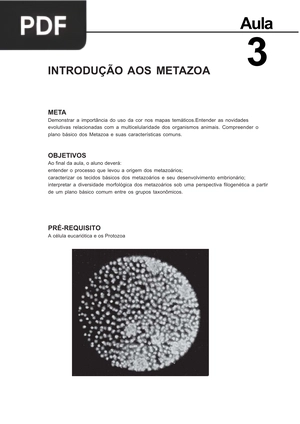Introdução aos metazoa