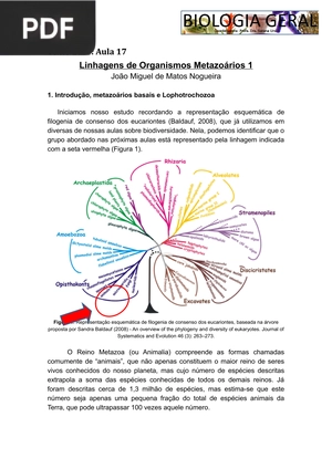 Linhagens de Organismos Metazoários 1
