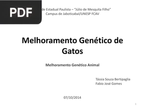Melhoramento Genético de Gatos (Apresentação)
