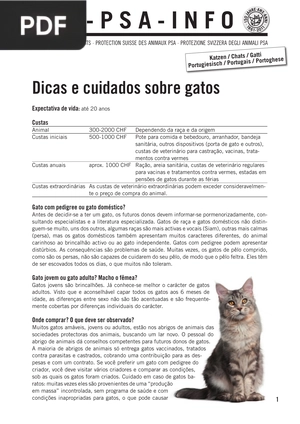 Dicas e cuidados sobre gatos (Artigo)