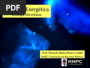 Ecologia Microbiana (Apresentação)