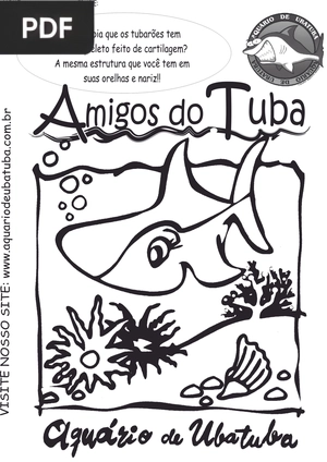 Amigos do Tuba