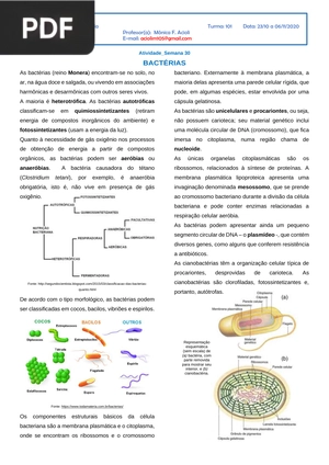 Bactérias (Artigo)