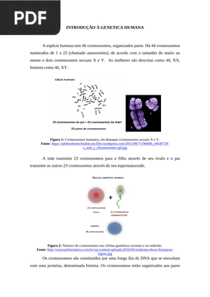 Introdução a Genética Humana (Artigo)