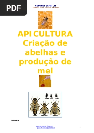 Apicultura. Criação de abelhas de produção de mel