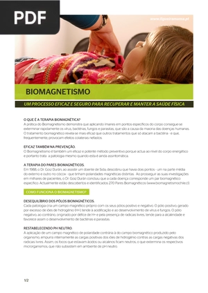 Biomagnetismo (Artigo)