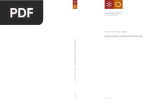 Componentes da resiliência organizacional