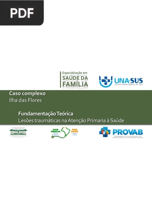 Lesões traumáticas na Atenção Primaria à Saúde (Artigo)