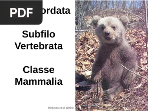 Biologia Animal (Apresentação)