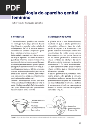 Embriología Humana (Artigo)