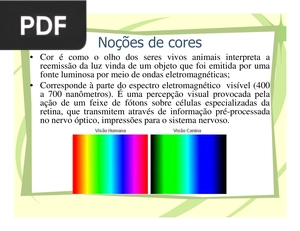 Noções de cores (Apresentação)