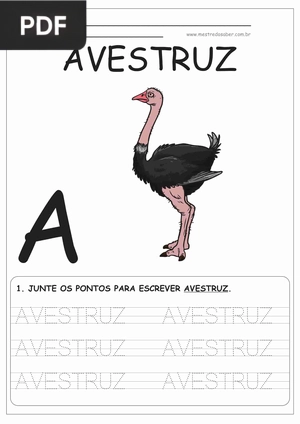 Alfabetização