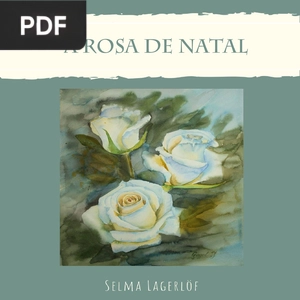 A rosa de natal
