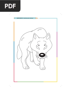 Lobo