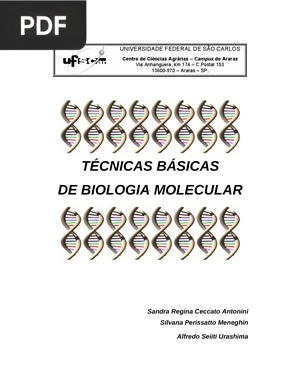 Técnicas básicas de biologia molecular