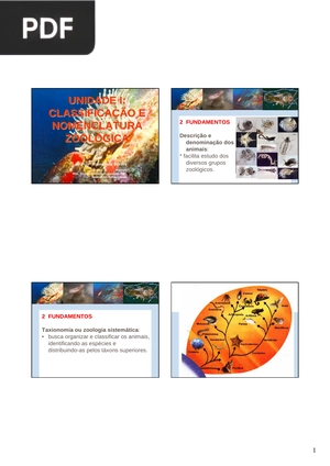 Classificação de nomenclatura zoológica (Artigo)