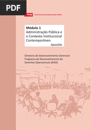 Administração Pública e o Contexto Institucional Contemporâneo