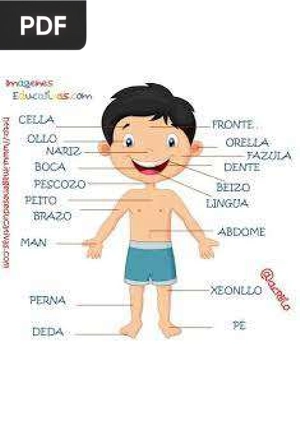 Vocabulário em catalão