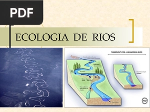 Ecologia de Rios (Apresentação)