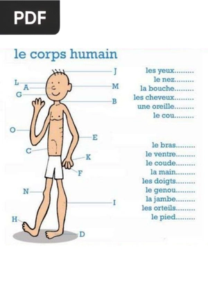 Le corps humain