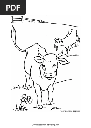 Vaca