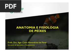 Anatomia e fisiologia de peixes (Apresentação)