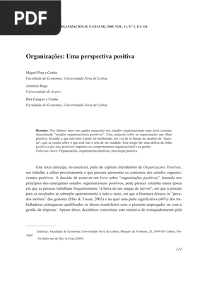 Organizações: Uma perspectiva positiva (Artigo)