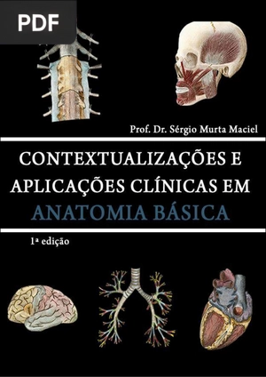 Anatomia Básica