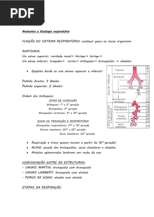 Pneumologia